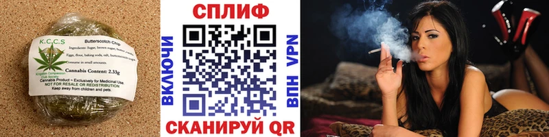 продажа наркотиков  omg tor  Еда ТГК марихуана  Алейск 