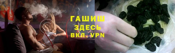 гашик Алексеевка