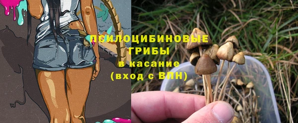 гашик Алексеевка