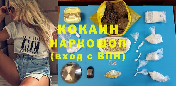 гашик Алексеевка