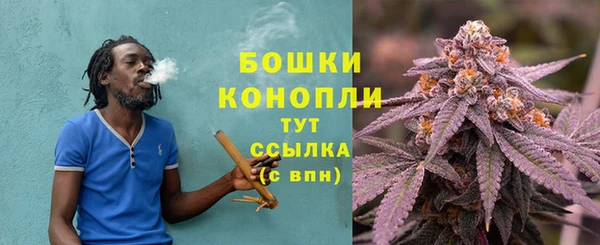 СК Покачи