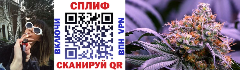 Каннабис Amnesia Алейск